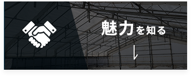 魅力を知る